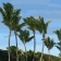 peinture numérique-paysage-GRANDE ANSE
