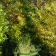 peinture numérique-paysage-CHEMIN BOURGOGNE