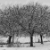 peinture numérique-paysage-NOYERS SOUS LA NEIGE